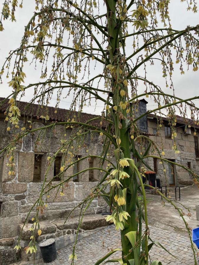 Havan House Amarante Luaran gambar